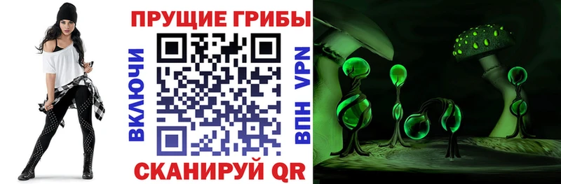 Псилоцибиновые грибы мухоморы  Первомайск 